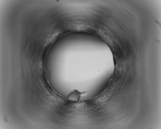 X0000098050306200804071514