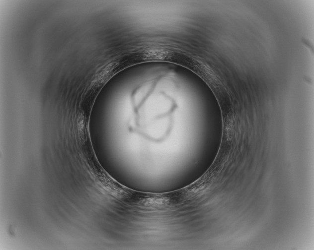 X0000098050314200804071514