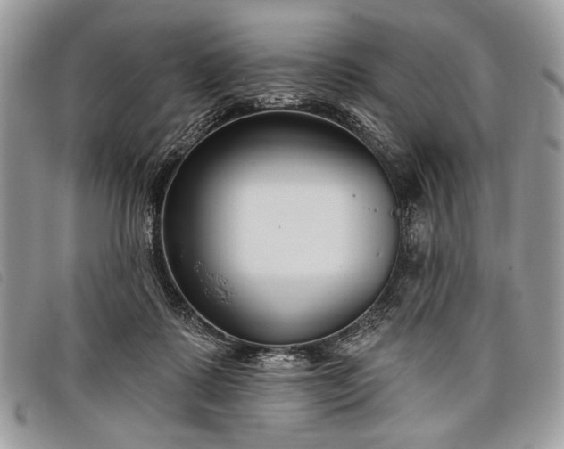 X0000098050315200804071514