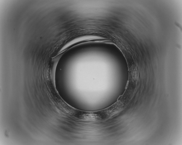 X0000098050316200804071514