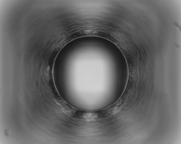 X0000098050319200804071514