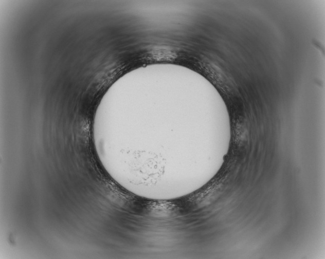 X0000098050321200804071514