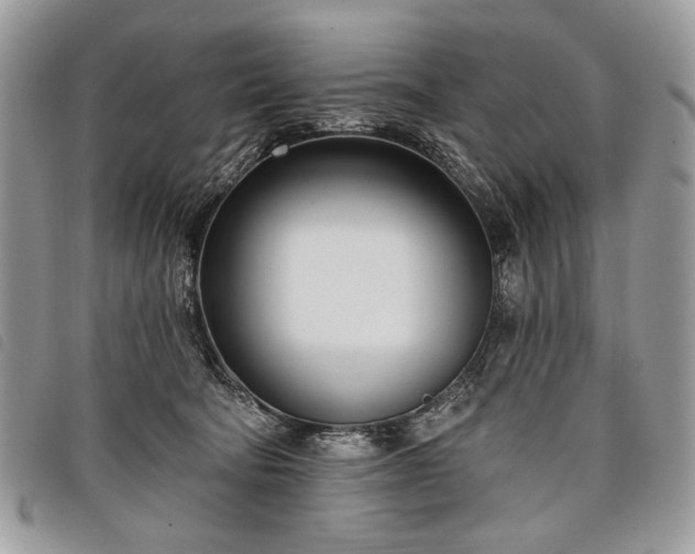 X0000098050322200804071514