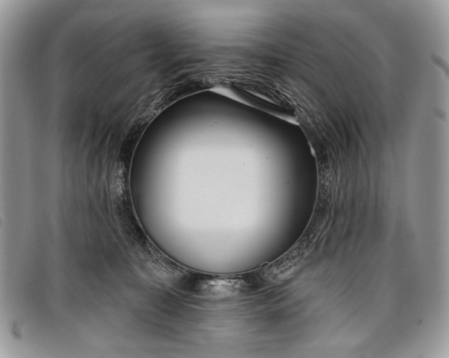 X0000098050323200804071514