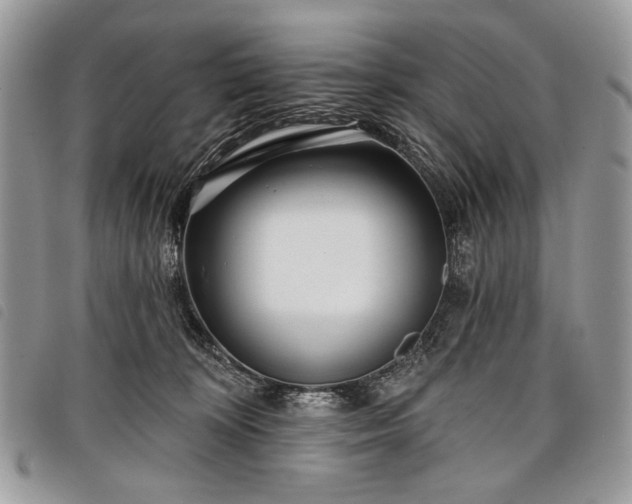 X0000098050324200804071514