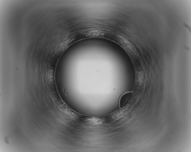 X0000098050326200804071514