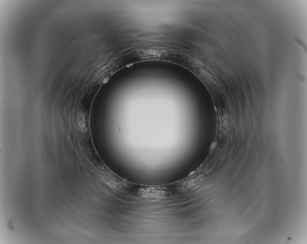 X0000098050331200804071514