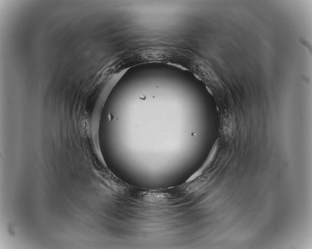 X0000098050332200804071514