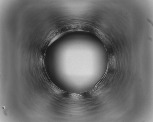 X0000098050333200804071514