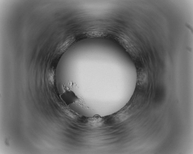 X0000098050334200804071514