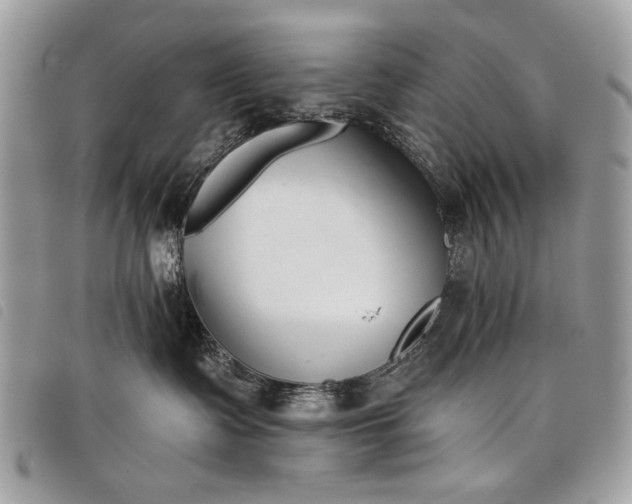 X0000098050335200804071514