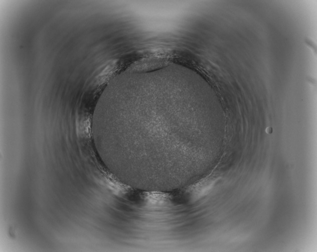 X0000098050336200804071514