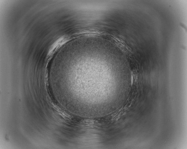 X0000098050339200804071513