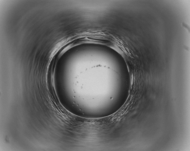 X0000098050340200804071513