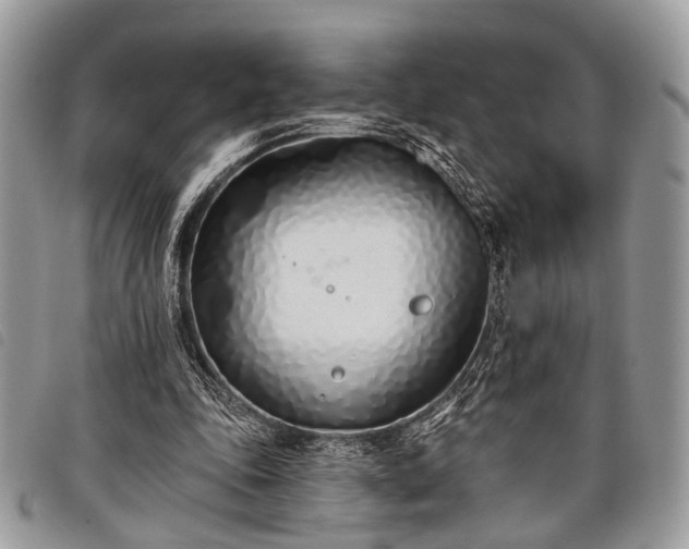 X0000098050343200804071513