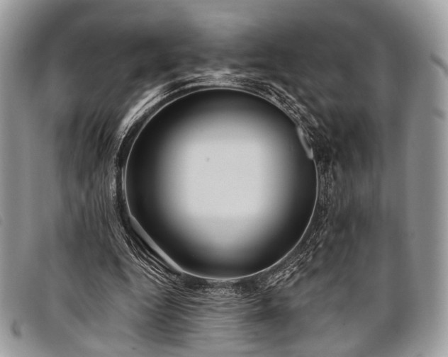 X0000098050344200804071513