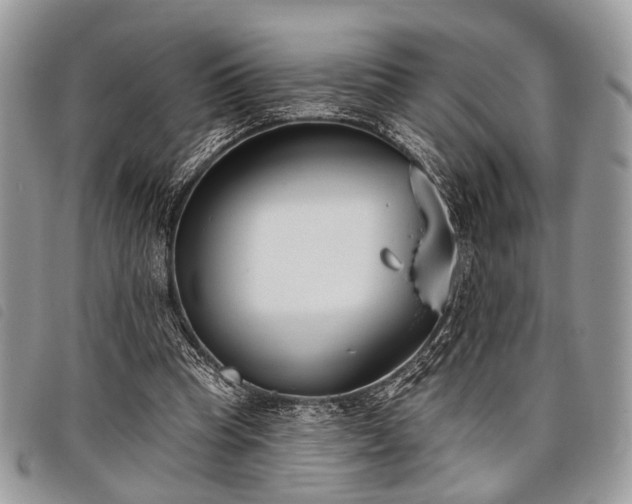 X0000098050345200804071513