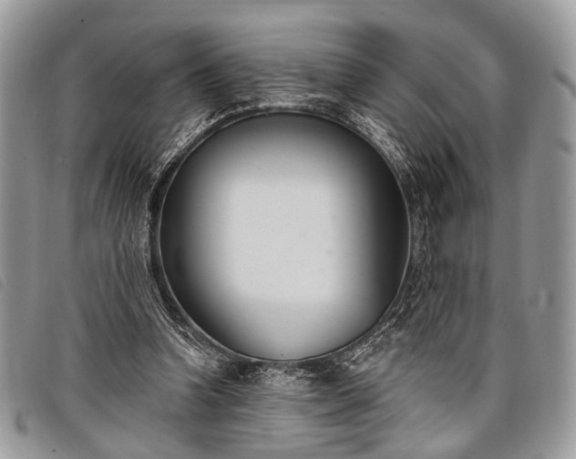 X0000098050346200804071513