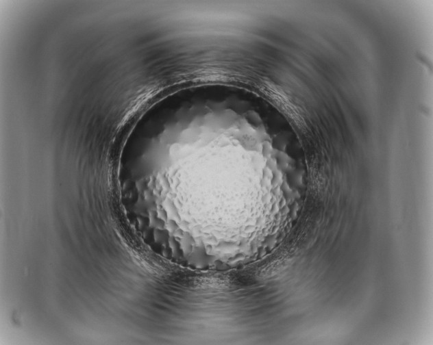 X0000098050347200804071513