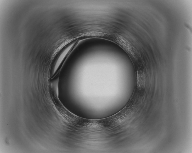 X0000098050348200804071513