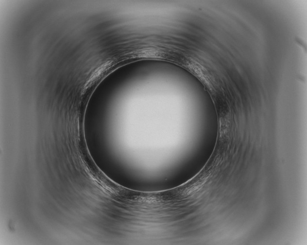 X0000098050349200804071513