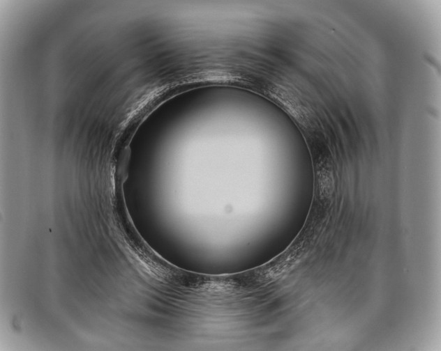 X0000098050350200804071513