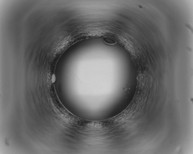 X0000098050354200804071513