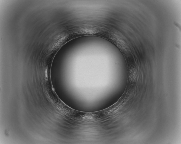 X0000098050358200804071513