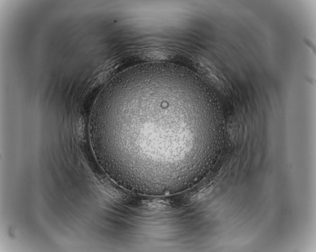 X0000098050359200804071513