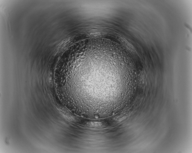 X0000098050361200804071513