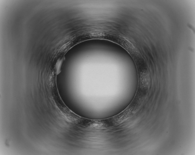 X0000098050364200804071513