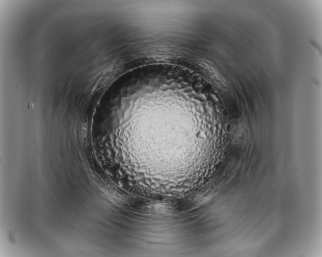 X0000098050365200804071513