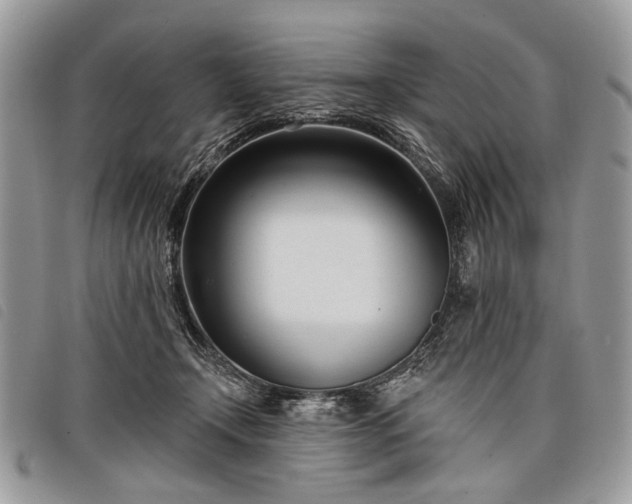 X0000098050366200804071513