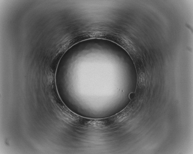 X0000098050367200804071513