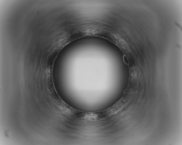 X0000098050369200804071513