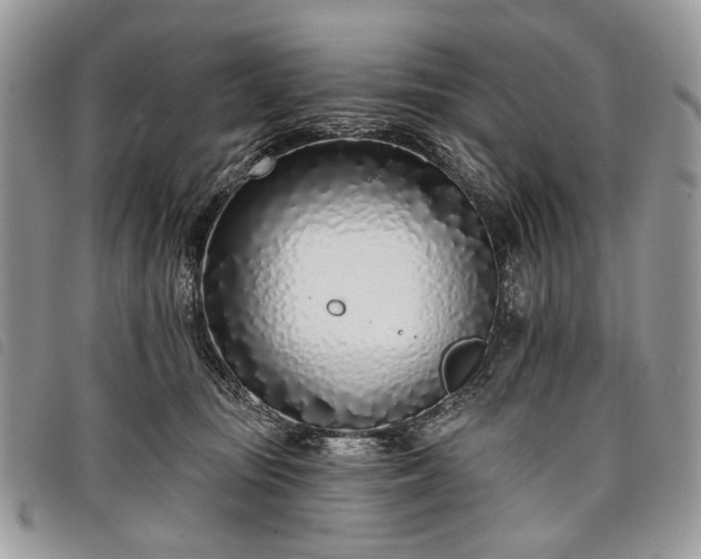 X0000098050371200804071514