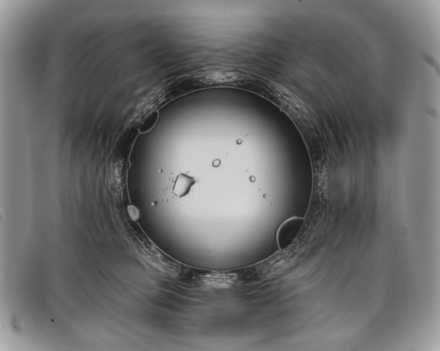 X0000098050373200804071514