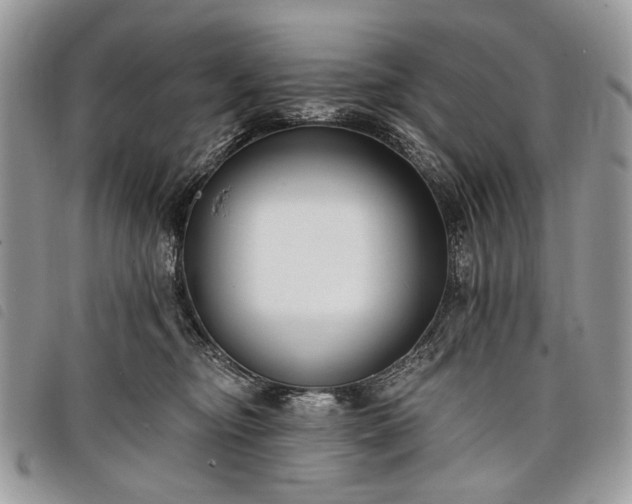 X0000098050374200804071514