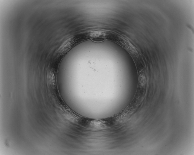 X0000098050375200804071514