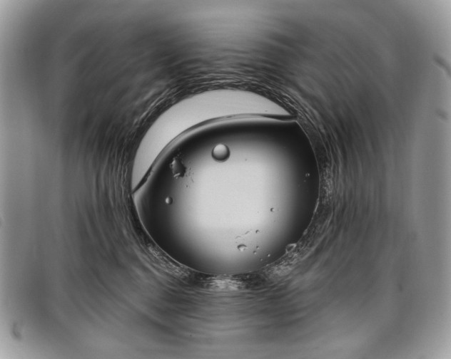 X0000098050376200804071514