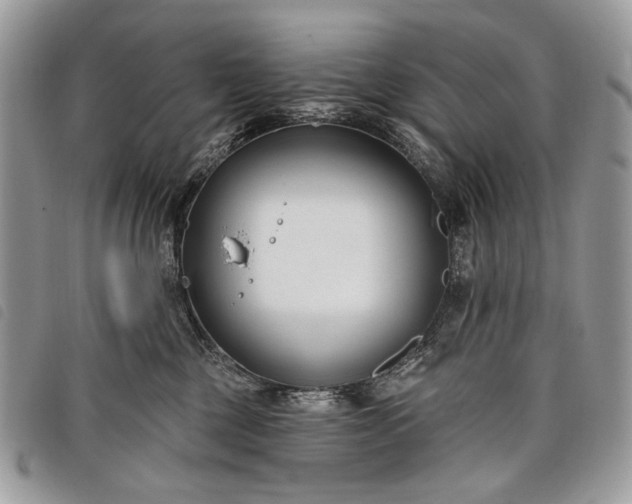 X0000098050377200804071514