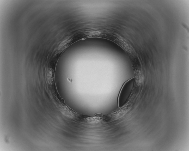 X0000098050378200804071514