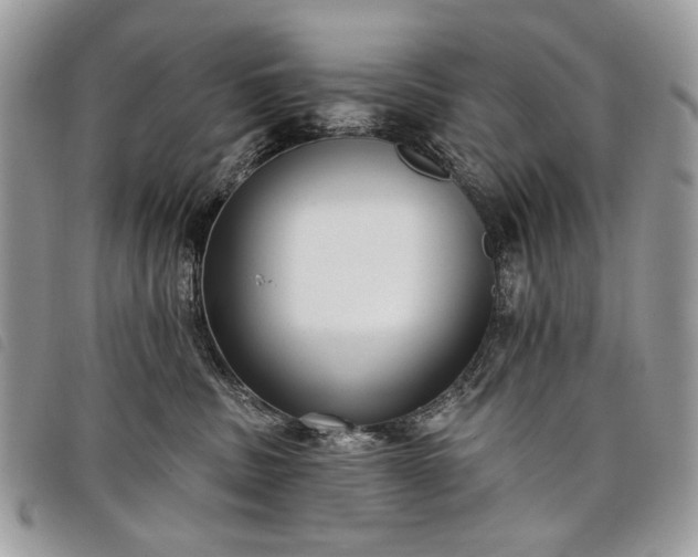 X0000098050379200804071514