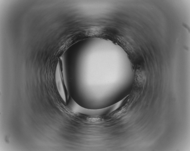 X0000098050380200804071514