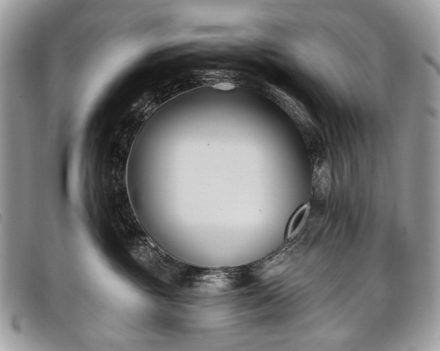 X0000098050381200804071514