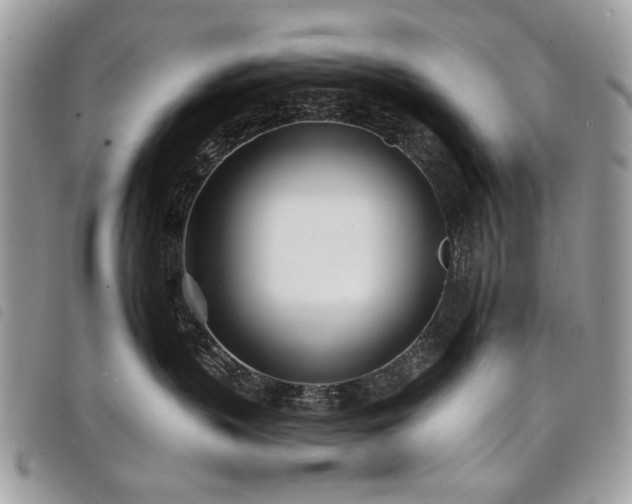 X0000098050383200804071514