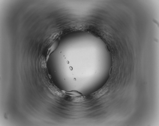 X0000098050384200804071514