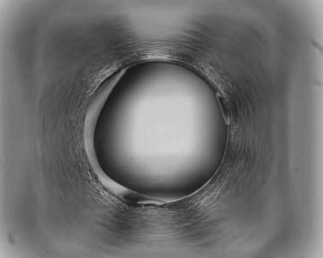 X0000098050385200804071513