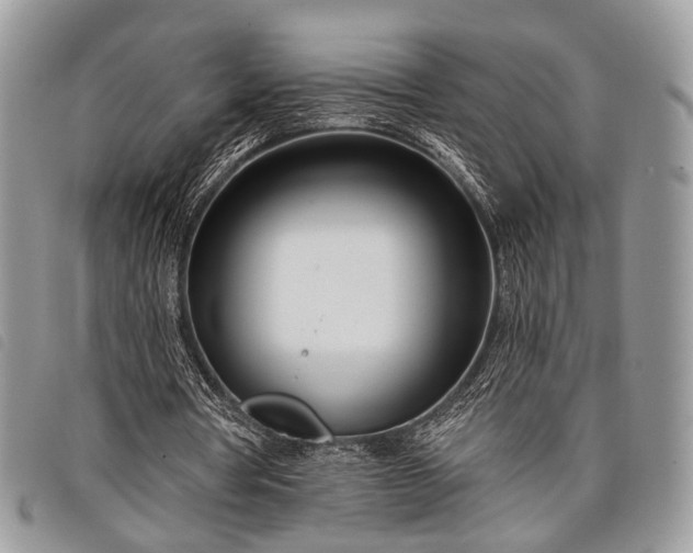 X0000098050386200804071513