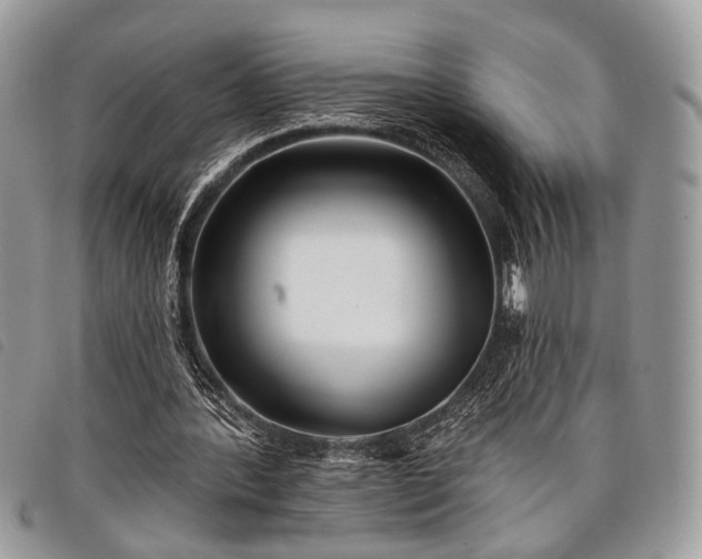 X0000098050388200804071513